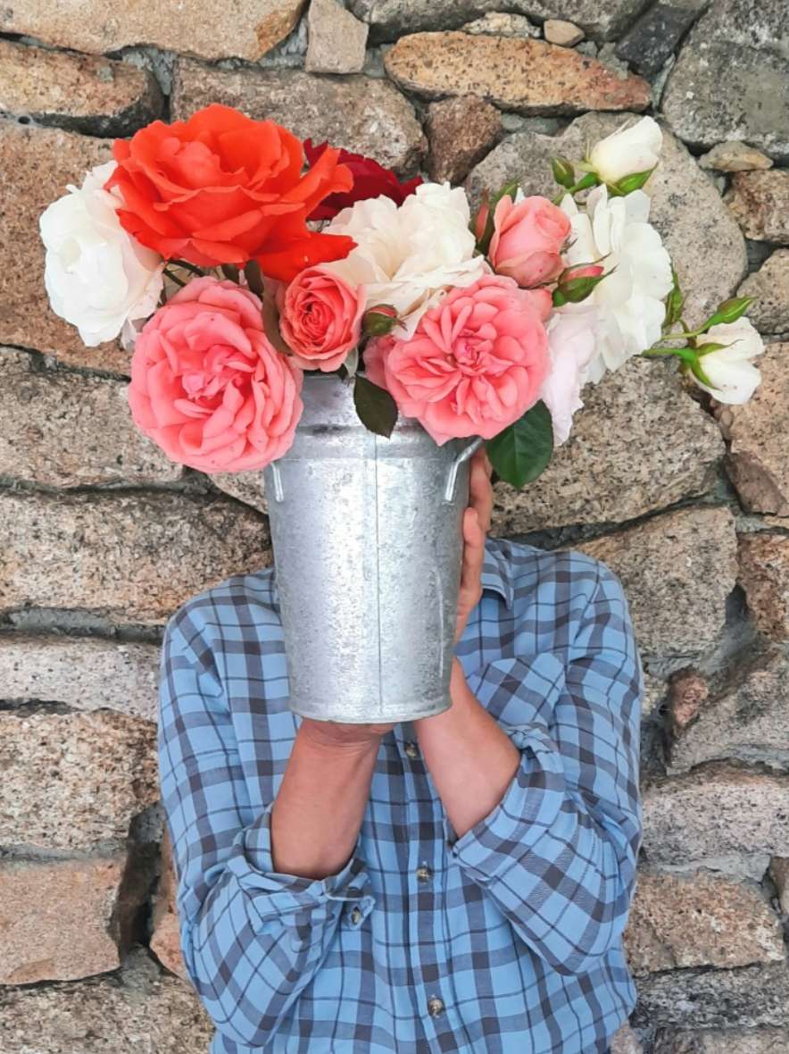 Alguém a segurar um balde de zinco com rosas à frente do rosto, junto a um muro de pedra