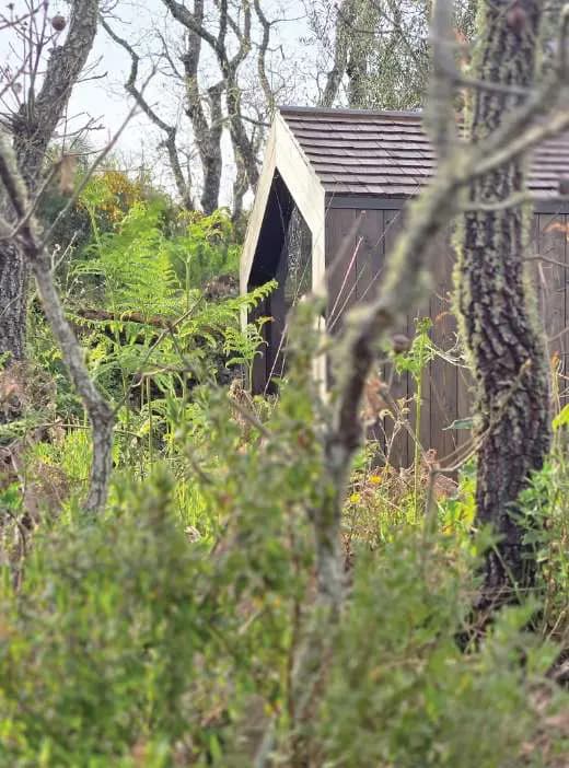 A cabana da sauna a lenha entre sobreiros e mato