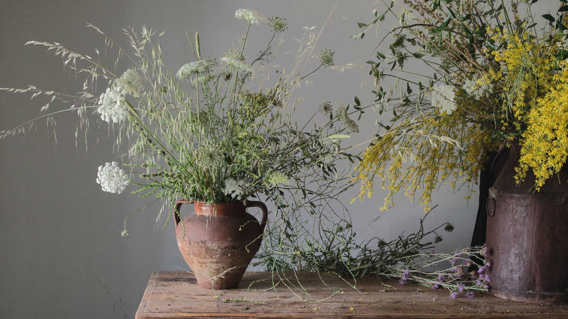 Colheita Silvestre & Composição Floral