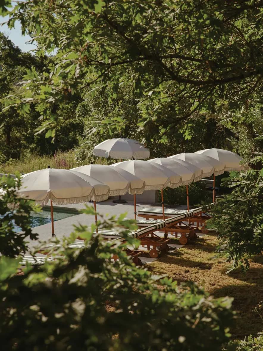 Chapéus de sol brancos alinhados junto à piscina, emoldurados por ramos de carvalho