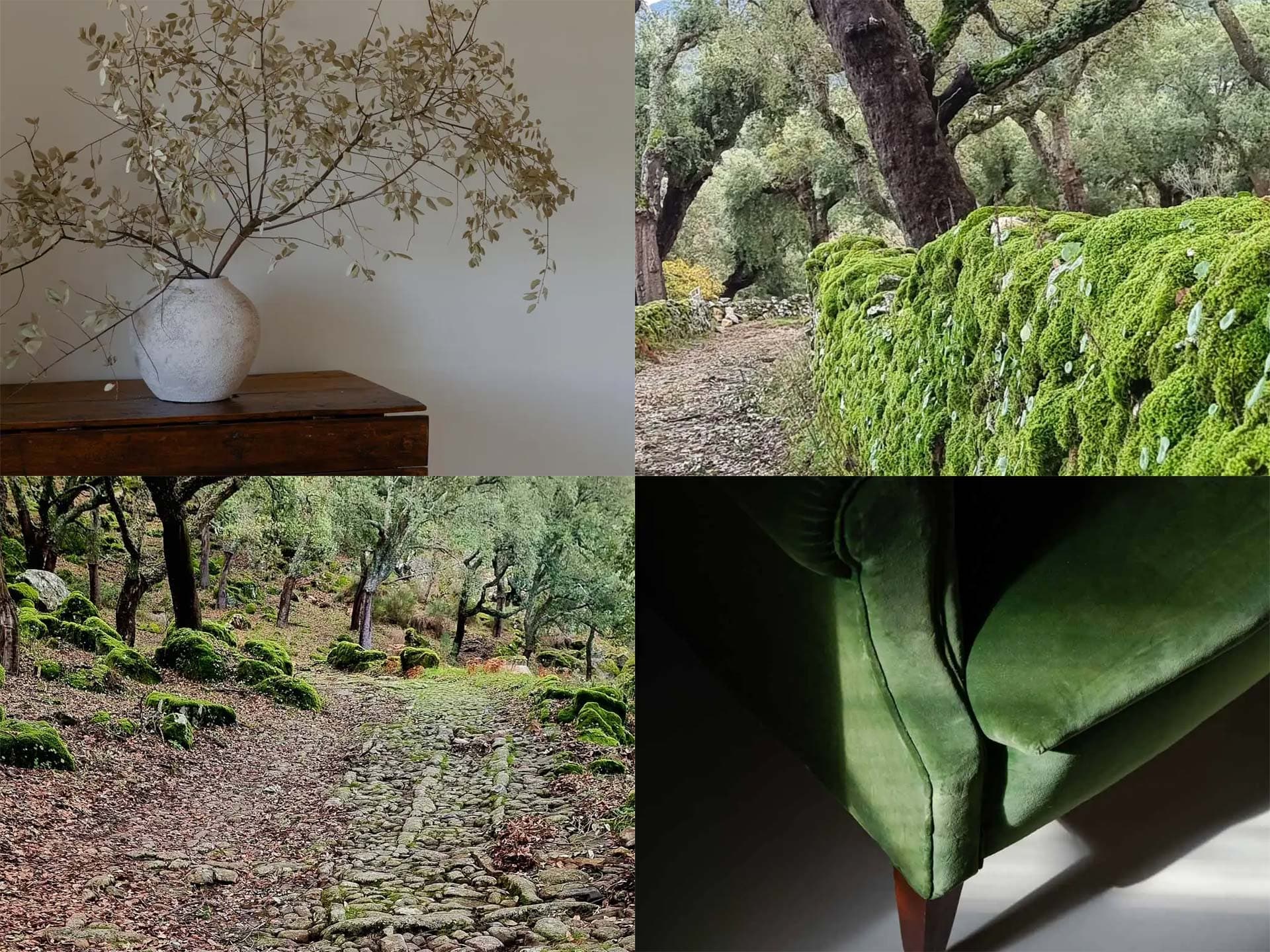 Quatro imagens: um ramo seco numa jarra branca, rochas com musgo no souto, um caminho no olival e o canto de um sofá de veludo verde