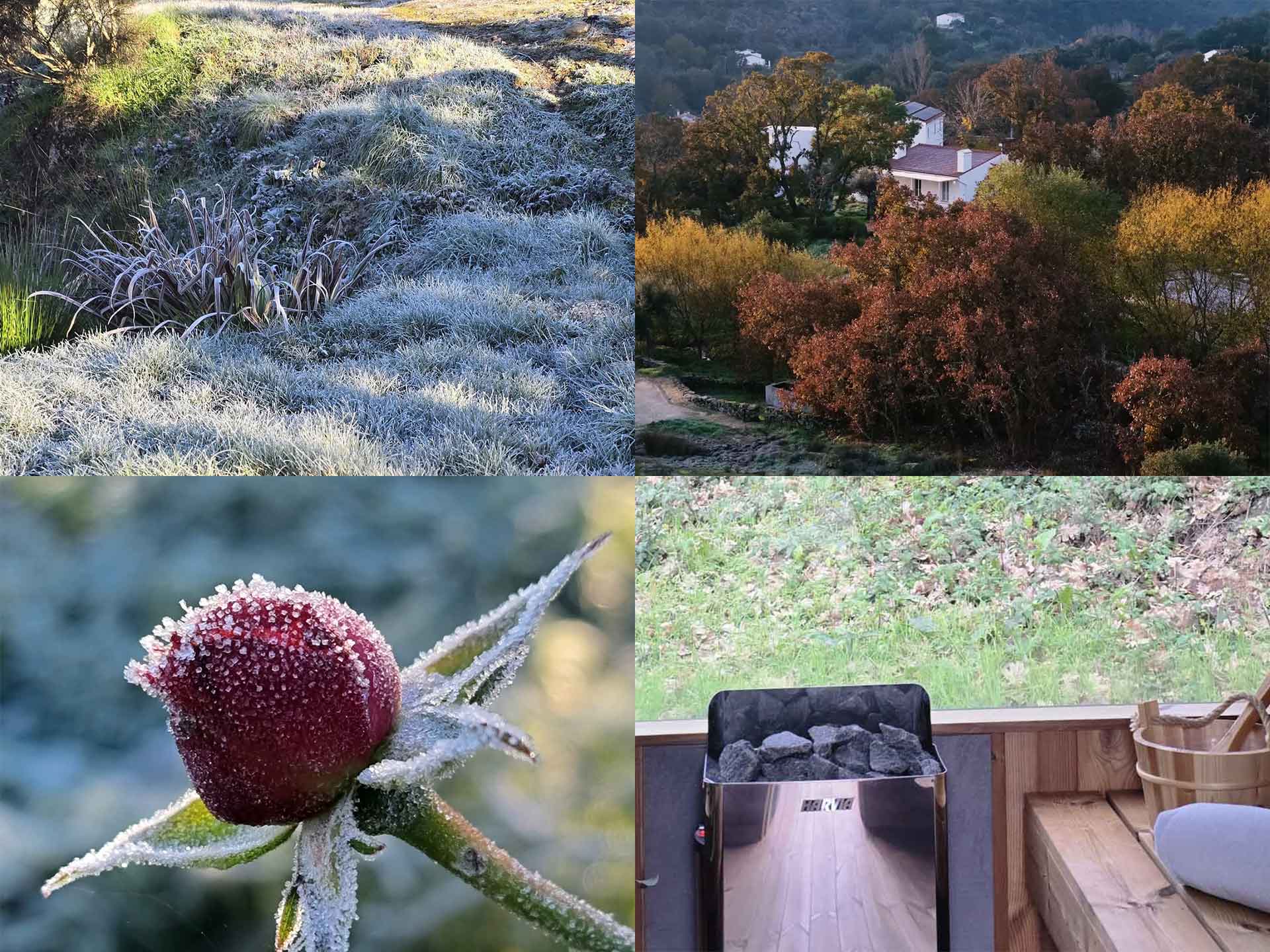 Quatro imagens de uma manhã de geada: erva gelada, as casas em tons de outono, gelo num cardo e o fogão da sauna