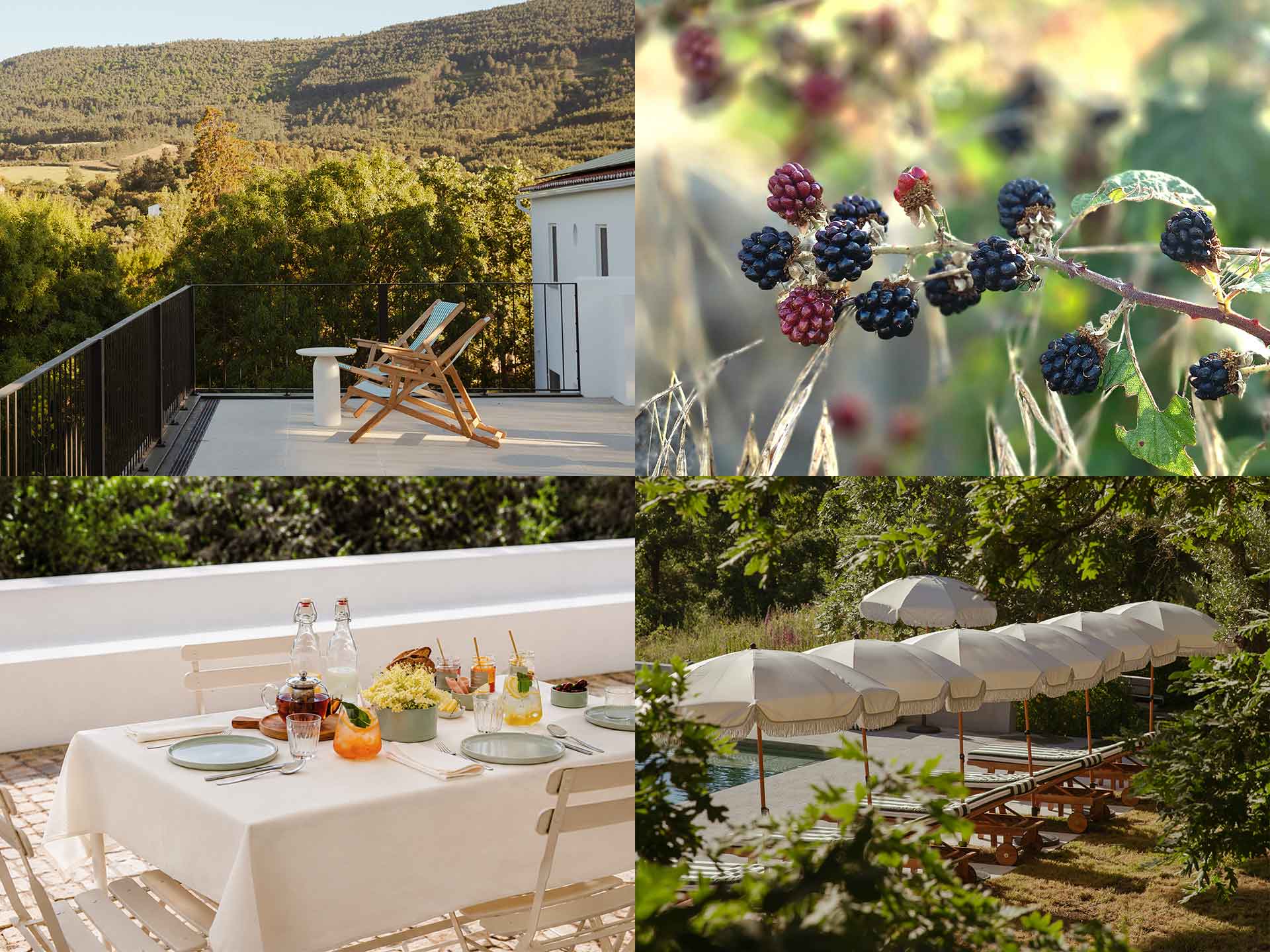 Quatro imagens de verão: uma espreguiçadeira sobre a piscina, amoras a amadurecer, uma mesa posta ao ar livre e chapéus de sol junto à água