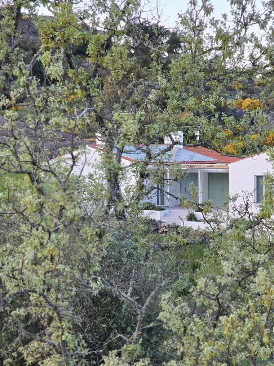 A Casa Esteva vista por entre sobreiros, as paredes brancas meio escondidas pelas árvores