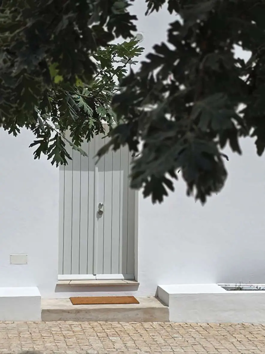 A porta clara da Casa Rosmaninho, à sombra de uma figueira