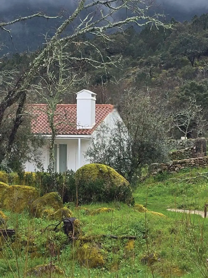 A Casa Oliveira ao fundo da encosta num dia cinzento, com rochas cobertas de musgo em primeiro plano