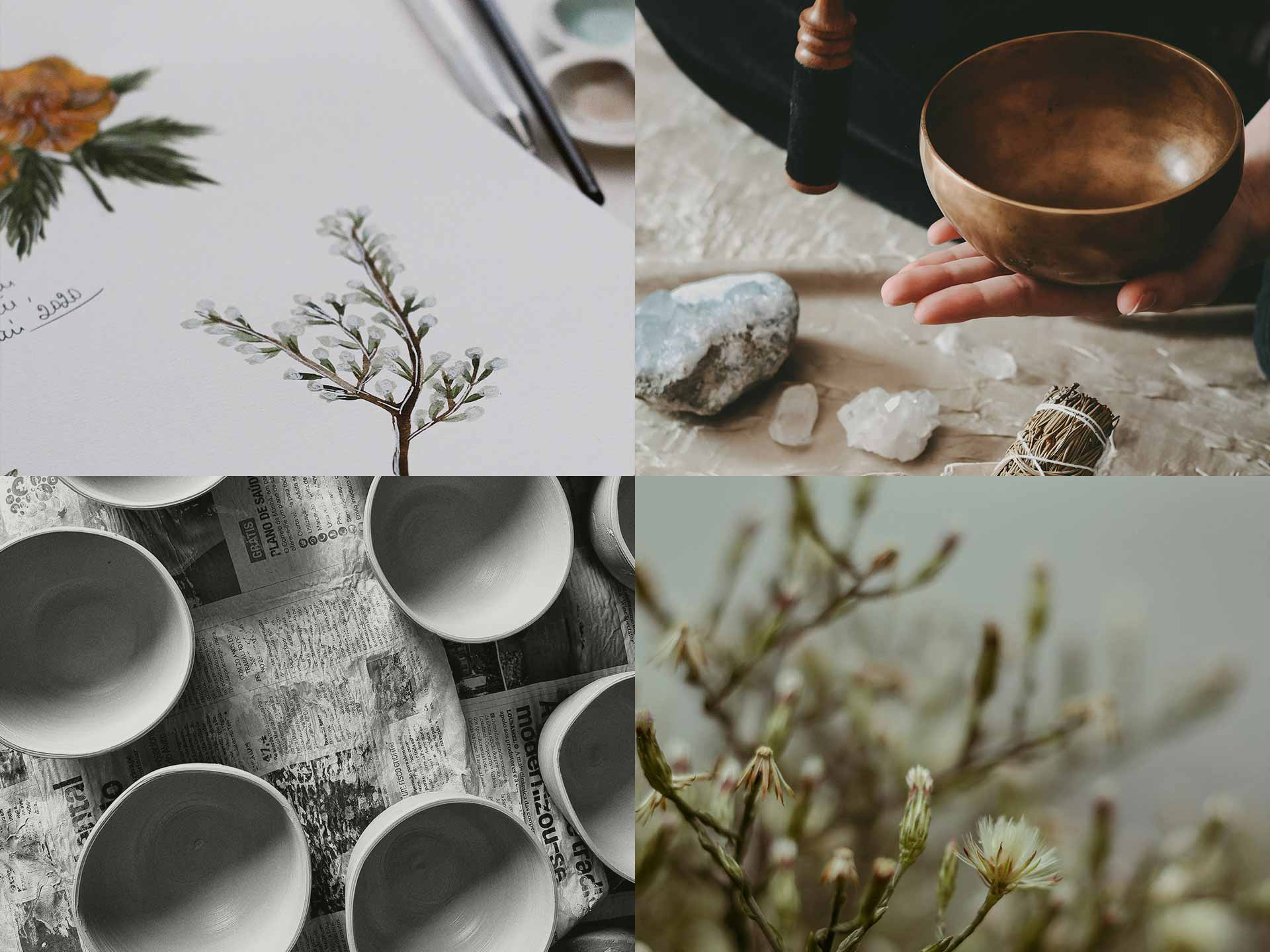 A Arte da Calma A Sociedade Rural